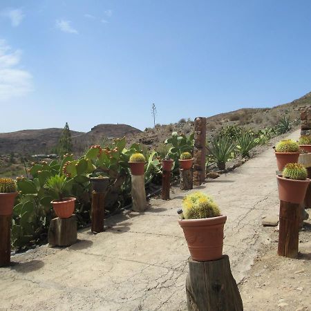 Vivelorural Casa En Valle De Chira Con Piscina San Bartolomé Luaran gambar